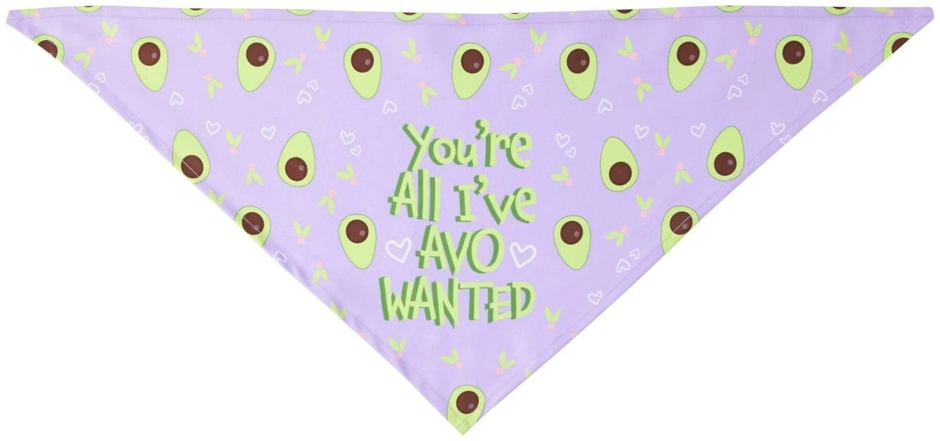 Frisco You're All I've Avo Wanted Dog & Cat Bandana 6 Frisco You're All I've Avo Wanted Dog & Cat Bandana - Image 4