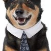 Frisco Boho Dog & Cat Neck Tie -Frisco Sales 2024 249307 MAIN. SY630 V1614274643