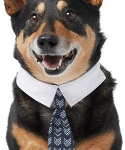 Frisco Boho Dog & Cat Neck Tie