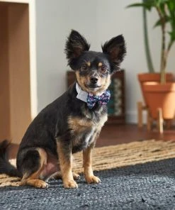 Frisco Floral Dog & Cat Bow Tie 9 Frisco Floral Dog & Cat Bow Tie -Frisco Sales 2024 249325 PT7. SY630 V1614275023