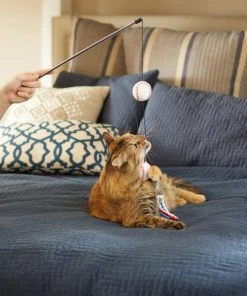 Frisco Baseball Teaser Cat Toy -Frisco Sales 2024 252736 PT5. SY630 V1615814597