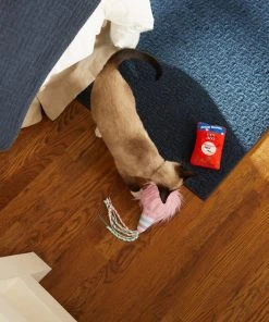 Frisco Baseball Snacks Cat Toy, 2 count 5 Frisco Baseball Snacks Cat Toy, 2 count -Frisco Sales 2024 252738 PT5. SY630 V1615814603