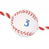 Frisco Baseball Plush with Rope Dog Toy 2 Frisco Baseball Plush with Rope Dog Toy -Frisco Sales 2024 252752 MAIN. SY630 V1613158294