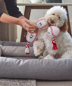 Frisco Baseball Plush with Rope Dog Toy 7 Frisco Baseball Plush with Rope Dog Toy -Frisco Sales 2024 252752 PT5. SY630 V1615814573