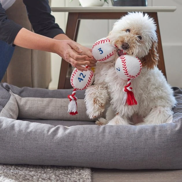 Frisco Baseball Plush with Rope Dog Toy 5 Frisco Baseball Plush with Rope Dog Toy - Image 3