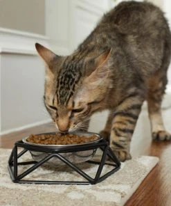 Frisco Elevated Stainless Steel Dog & Cat Bowl with Metal Stand -Frisco Sales 2024 253054 PT2. SY630 V1616594197