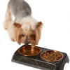 Frisco Copper Stainless Steel Double Dog & Cat Bowls with Black Marble Stand, 0.75 Cups -Frisco Sales 2024 253058 MAIN. SY630 V1616075012