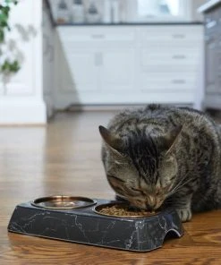 Frisco Copper Stainless Steel Double Dog & Cat Bowls with Black Marble Stand, 0.75 Cups -Frisco Sales 2024 253058 PT2. SY630 V1616594213