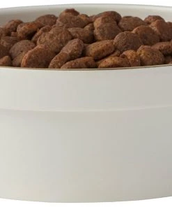 Frisco Gold Trim Melamine Dog & Cat Bowl, Cream -Frisco Sales 2024 253062 PT3. SY630 V1616595685