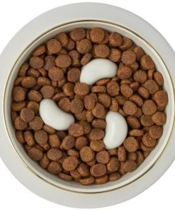 Frisco Melamine Slow Feed Dog & Cat Bowl with Gold Trim, Cream -Frisco Sales 2024 253067 PT5. SY630 V1615310813