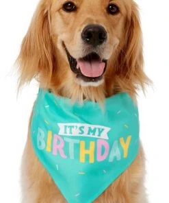 Frisco Birthday Cake Dog & Cat Hat & Frisco Dog & Cat Birthday Bandana -Frisco Sales 2024 255463 PT3. SY630 V1603716088