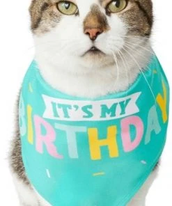 Frisco Birthday Cake Dog & Cat Hat & Frisco Dog & Cat Birthday Bandana -Frisco Sales 2024 255463 PT4. SY630 V1603716094