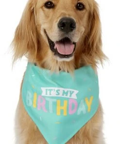 Frisco Happy Birthday Dog & Cat Crown & Frisco Dog & Cat Birthday Bandana, One Size -Frisco Sales 2024 255521 PT3. SY630 V1603716116