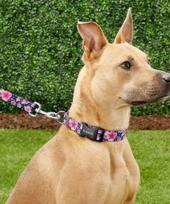 Frisco Midnight Floral Dog Leash & Frisco Midnight Floral Dog Collar 9 Frisco Midnight Floral Dog Leash & Frisco Midnight Floral Dog Collar -Frisco Sales 2024 255571 PT2. SY630 V1603545417