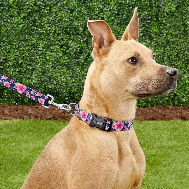 Frisco Midnight Floral Dog Leash & Frisco Midnight Floral Dog Collar 5 Frisco Midnight Floral Dog Leash & Frisco Midnight Floral Dog Collar - Image 3