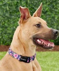 Frisco Midnight Floral Dog Leash & Frisco Midnight Floral Dog Collar 11 Frisco Midnight Floral Dog Leash & Frisco Midnight Floral Dog Collar -Frisco Sales 2024 255571 PT4. SY630 V1603545402