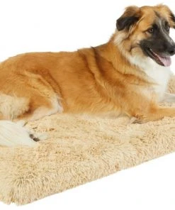 Frisco Eyelash Orthopedic Dog Crate Mat -Frisco Sales 2024 256026 PT2. SY630 V1616094416