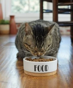 Frisco Ceramic Food Dog & Cat Bowl with Wood Base -Frisco Sales 2024 256042 PT2. SY630 V1615311693