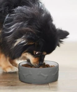 Frisco Bones Non-skid Ceramic Dog & Cat Bowl, Gray -Frisco Sales 2024 256063 PT2. SY630 V1626186231