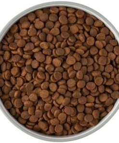 Frisco Bones Non-skid Ceramic Dog & Cat Bowl, Gray -Frisco Sales 2024 256063 PT5. SY630 V1616508997