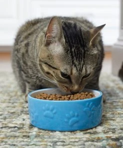 Frisco Paw Prints Non-skid Ceramic Dog & Cat Bowl, Blue -Frisco Sales 2024 256067 PT2. SY630 V1616166987