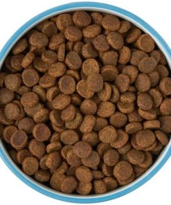 Frisco Paw Prints Non-skid Ceramic Dog & Cat Bowl, Blue -Frisco Sales 2024 256067 PT6. SY630 V1615313517