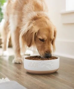 Frisco Paw Prints Non-skid Ceramic Bowl, 7.75 Cups 10 Frisco Paw Prints Non-skid Ceramic Bowl, 7.75 Cups -Frisco Sales 2024 256072 PT2. SY630 V1615311738