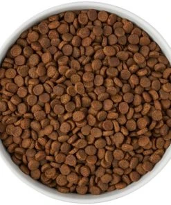 Frisco Paw Prints Non-skid Ceramic Bowl, 7.75 Cups 13 Frisco Paw Prints Non-skid Ceramic Bowl, 7.75 Cups -Frisco Sales 2024 256072 PT5. SY630 V1615312318