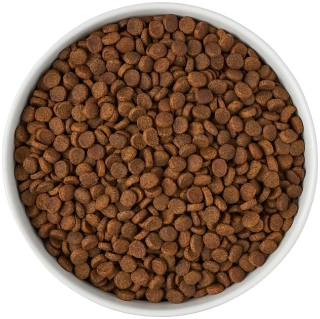 Frisco Paw Prints Non-skid Ceramic Bowl, 7.75 Cups 8 Frisco Paw Prints Non-skid Ceramic Bowl, 7.75 Cups - Image 6