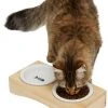 Frisco Double Elevated Cat Bowl with Wood Stand, 0.62 Cup 2 Frisco Double Elevated Cat Bowl with Wood Stand, 0.62 Cup -Frisco Sales 2024 256082 MAIN. SY630 V1616509034