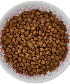 Frisco Kaleidoscope Pattern Non-skid Ceramic Cat Dish, Pink, 0.62 Cup 13 Frisco Kaleidoscope Pattern Non-skid Ceramic Cat Dish, Pink, 0.62 Cup -Frisco Sales 2024 256084 PT5. SY630 V1617042695