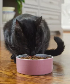 Frisco Kaleidoscope Pattern Non-skid Ceramic Cat Dish, Pink, 1.62 Cup 10 Frisco Kaleidoscope Pattern Non-skid Ceramic Cat Dish, Pink, 1.62 Cup -Frisco Sales 2024 256086 PT2. SY630 V1615313605