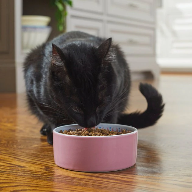 Frisco Kaleidoscope Pattern Non-skid Ceramic Cat Dish, Pink, 1.62 Cup 5 Frisco Kaleidoscope Pattern Non-skid Ceramic Cat Dish, Pink, 1.62 Cup - Image 3