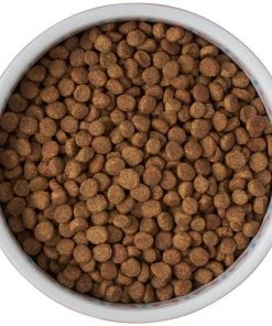 Frisco Kaleidoscope Pattern Non-skid Ceramic Cat Dish, Pink, 1.62 Cup 13 Frisco Kaleidoscope Pattern Non-skid Ceramic Cat Dish, Pink, 1.62 Cup -Frisco Sales 2024 256086 PT5. SY630 V1615310802