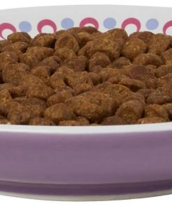 Frisco Kaleidoscope Pattern Non-skid Ceramic Cat Dish, Purple, 0.62 Cup -Frisco Sales 2024 256088 PT3. SY630 V1617042712