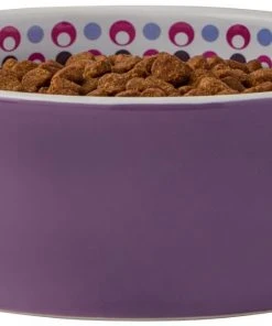 Frisco Kaleidoscope Pattern Non-skid Ceramic Cat Dish, Purple, 1.62 Cup -Frisco Sales 2024 256090 PT3. SY630 V1615311698