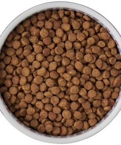 Frisco Kaleidoscope Pattern Non-skid Ceramic Cat Dish, Purple, 1.62 Cup -Frisco Sales 2024 256090 PT5. SY630 V1615312887