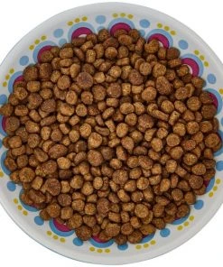 Frisco Kaleidoscope Pattern Non-skid Ceramic Cat Dish, Blue, 0.62 Cup 13 Frisco Kaleidoscope Pattern Non-skid Ceramic Cat Dish, Blue, 0.62 Cup -Frisco Sales 2024 256092 PT5. SY630 V1617042691