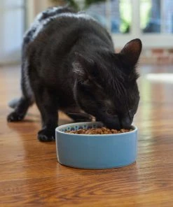 Frisco Kaleidoscope Pattern Non-skid Ceramic Cat Dish, Blue, 1.62 Cups 10 Frisco Kaleidoscope Pattern Non-skid Ceramic Cat Dish, Blue, 1.62 Cups -Frisco Sales 2024 256094 PT2. SY630 V1615311130