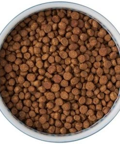 Frisco Kaleidoscope Pattern Non-skid Ceramic Cat Dish, Blue, 1.62 Cups 13 Frisco Kaleidoscope Pattern Non-skid Ceramic Cat Dish, Blue, 1.62 Cups -Frisco Sales 2024 256094 PT5. SY630 V1615312042