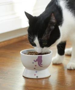 Frisco Cat Print Non-skid Elevated Ceramic Cat Bowl, Short, 1.0 Cup 10 Frisco Cat Print Non-skid Elevated Ceramic Cat Bowl, Short, 1.0 Cup -Frisco Sales 2024 256096 PT2. SY630 V1616522571