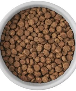 Frisco Cat Print Non-skid Elevated Ceramic Cat Bowl, Short, 1.0 Cup 12 Frisco Cat Print Non-skid Elevated Ceramic Cat Bowl, Short, 1.0 Cup -Frisco Sales 2024 256096 PT4. SY630 V1616522576