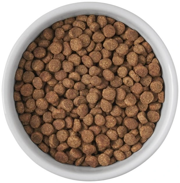 Frisco Cat Print Non-skid Elevated Ceramic Cat Bowl, Short, 1.0 Cup 7 Frisco Cat Print Non-skid Elevated Ceramic Cat Bowl, Short, 1.0 Cup - Image 5