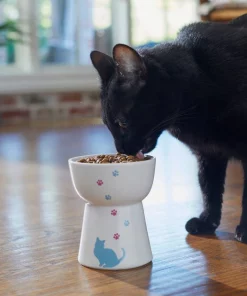 Frisco Cat Print Non-skid Elevated Ceramic Cat Bowl, Tall -Frisco Sales 2024 256098 PT2. SY630 V1616522547