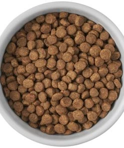 Frisco Cat Print Non-skid Elevated Ceramic Cat Bowl, Tall -Frisco Sales 2024 256098 PT4. SY630 V1616522549