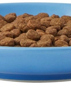 Frisco Cat Face Non-skid Ceramic Cat Dish, Blue, 0.50 Cup 12 Frisco Cat Face Non-skid Ceramic Cat Dish, Blue, 0.50 Cup -Frisco Sales 2024 256101 PT4. SY630 V1617130592