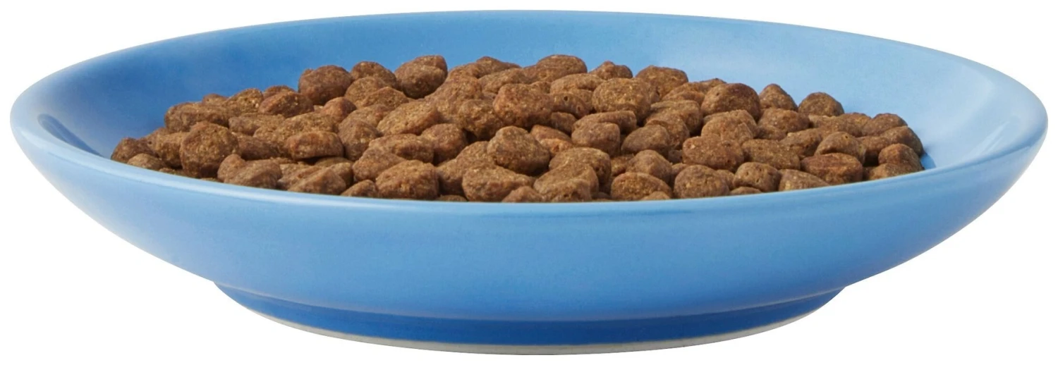 Frisco Cat Face Non-skid Ceramic Cat Dish, Blue, 0.50 Cup 7 Frisco Cat Face Non-skid Ceramic Cat Dish, Blue, 0.50 Cup - Image 5