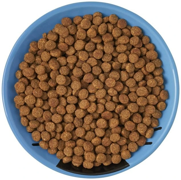 Frisco Cat Face Non-skid Ceramic Cat Dish, Blue, 0.50 Cup 8 Frisco Cat Face Non-skid Ceramic Cat Dish, Blue, 0.50 Cup - Image 6