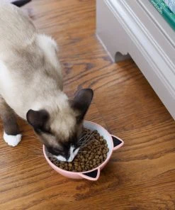 Frisco Cat Face Non-skid Ceramic Cat Bowl, Pink, 1.12 Cups 9 Frisco Cat Face Non-skid Ceramic Cat Bowl, Pink, 1.12 Cups -Frisco Sales 2024 256107 PT2. SY630 V1616522589