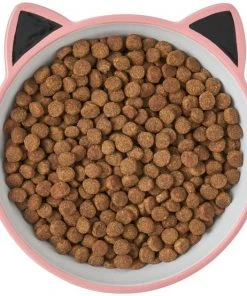 Frisco Cat Face Non-skid Ceramic Cat Bowl, Pink, 1.12 Cups 11 Frisco Cat Face Non-skid Ceramic Cat Bowl, Pink, 1.12 Cups -Frisco Sales 2024 256107 PT5. SY630 V1616522494